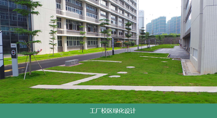 園林綠化養(yǎng)護